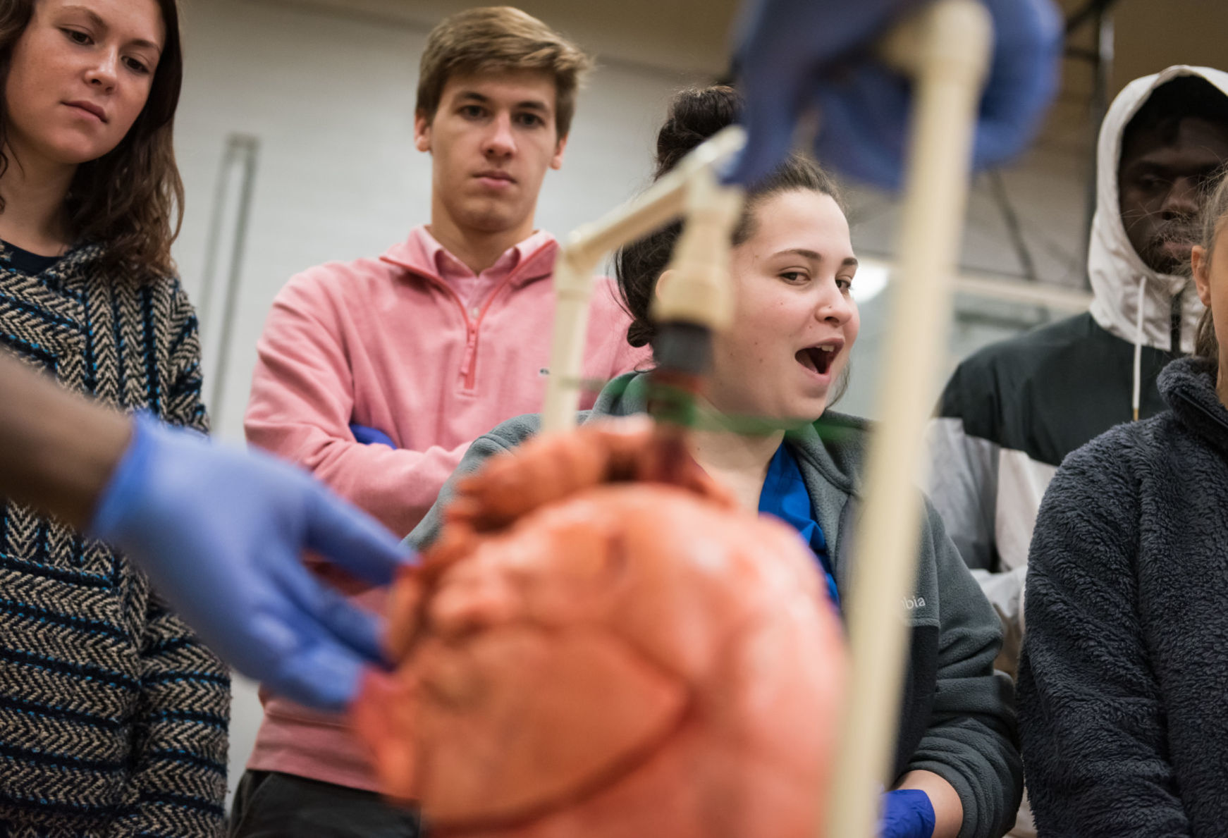 Wake Forest School of Medicine Rolling Bones